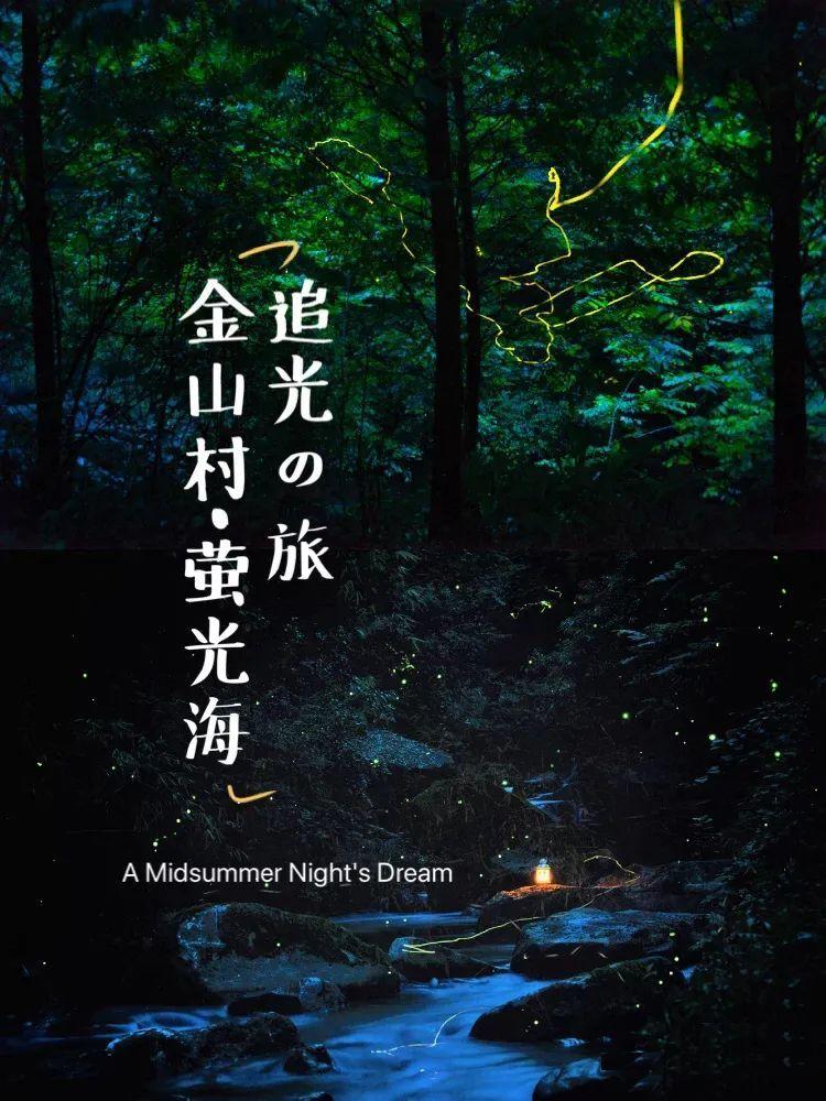 阿尔的派对夜