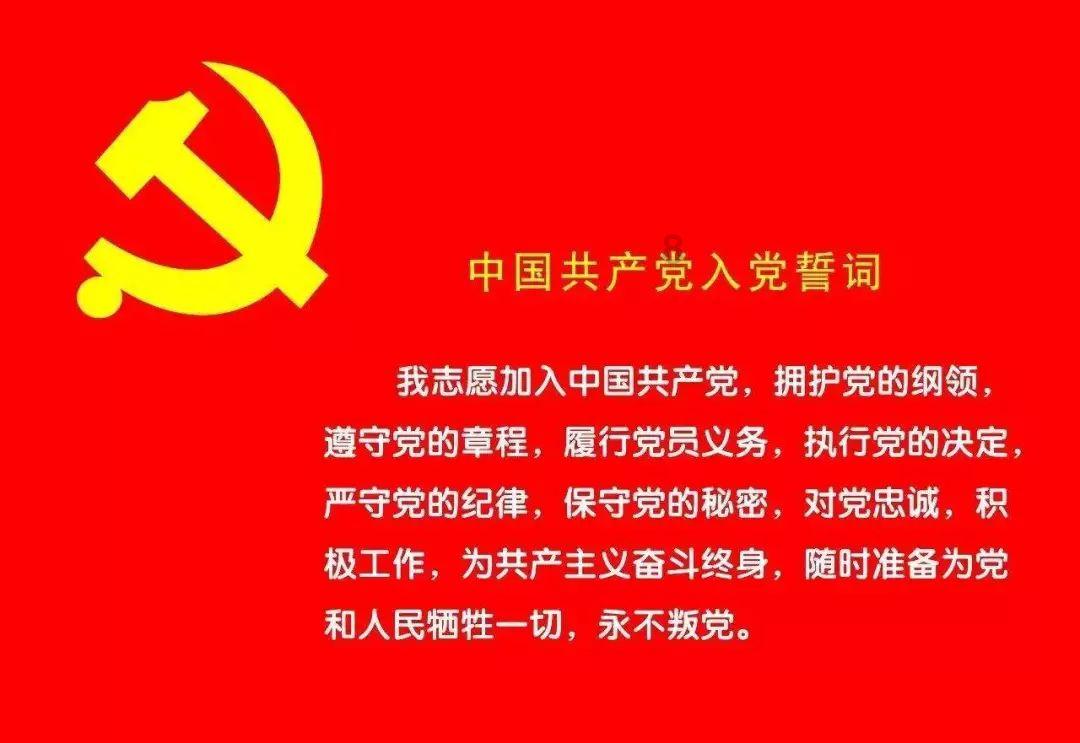 选区主席:美国新罕布什尔州的初选积极性将低于预测