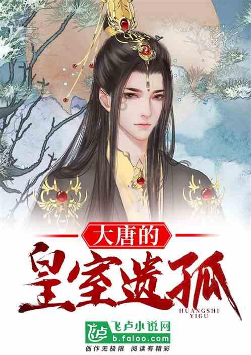 探探猫宝石岛2