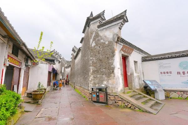 除虫大师